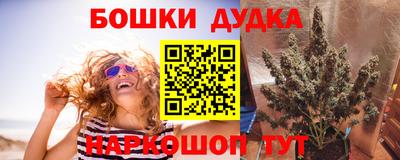 сатива Аша