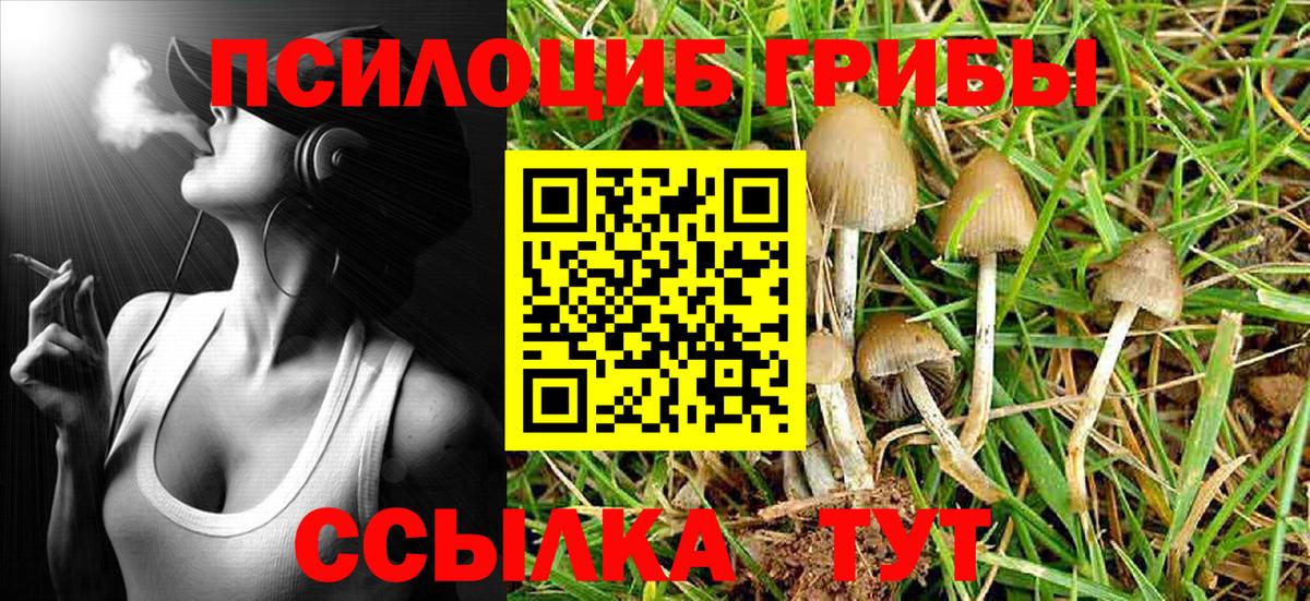 Галлюциногенные грибы MAGIC MUSHROOMS  Псилоцибиновые грибы Psilocybine cubensis  Вход с VPN  Волхов 