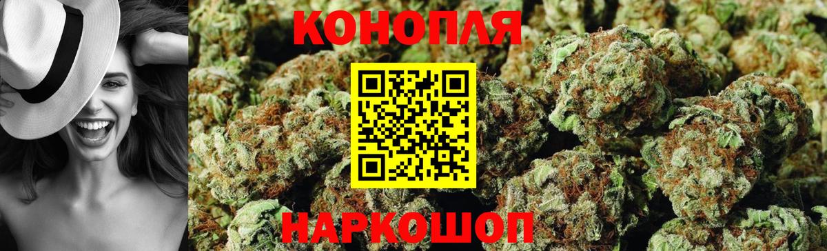 Бошки Шишки планчик Волхов